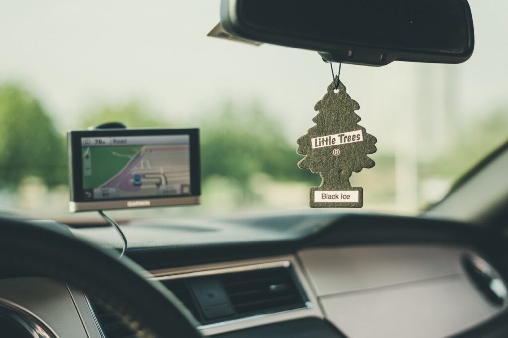 Little Trees Air Freshener, New Car Scent - 6 air fresheners