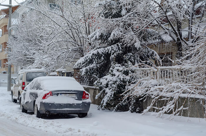 learn how to winterize a car