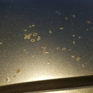 How to Remove and Prevent Rust On Your Car & Best Products in 2024